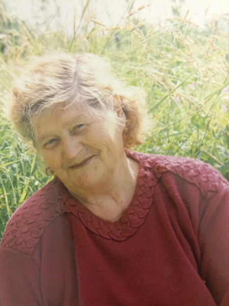 Конкурс публикаций "Жизнь первичных организаций". Мошенской район.