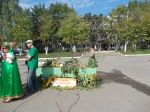 Фото: Окуловский район