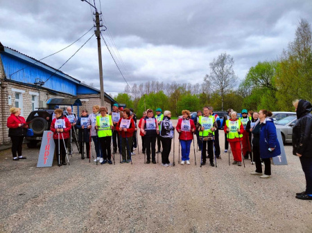 Районный фестиваль скандинавской ходьбы