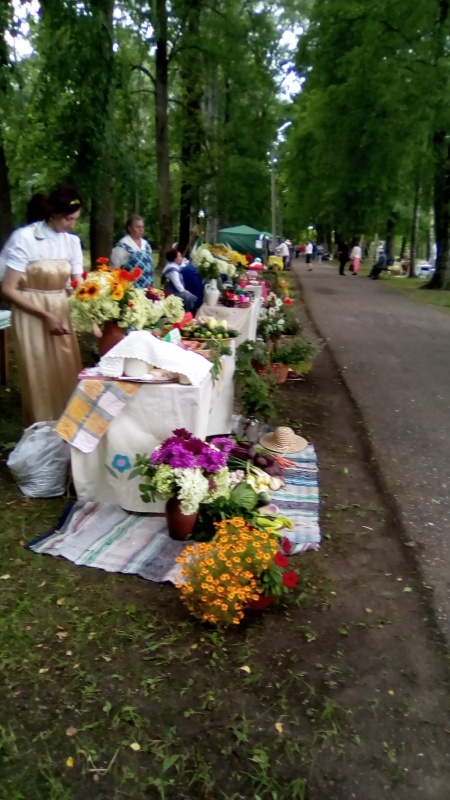 Районные смотры-конкурсы "Ветеранское подворье"